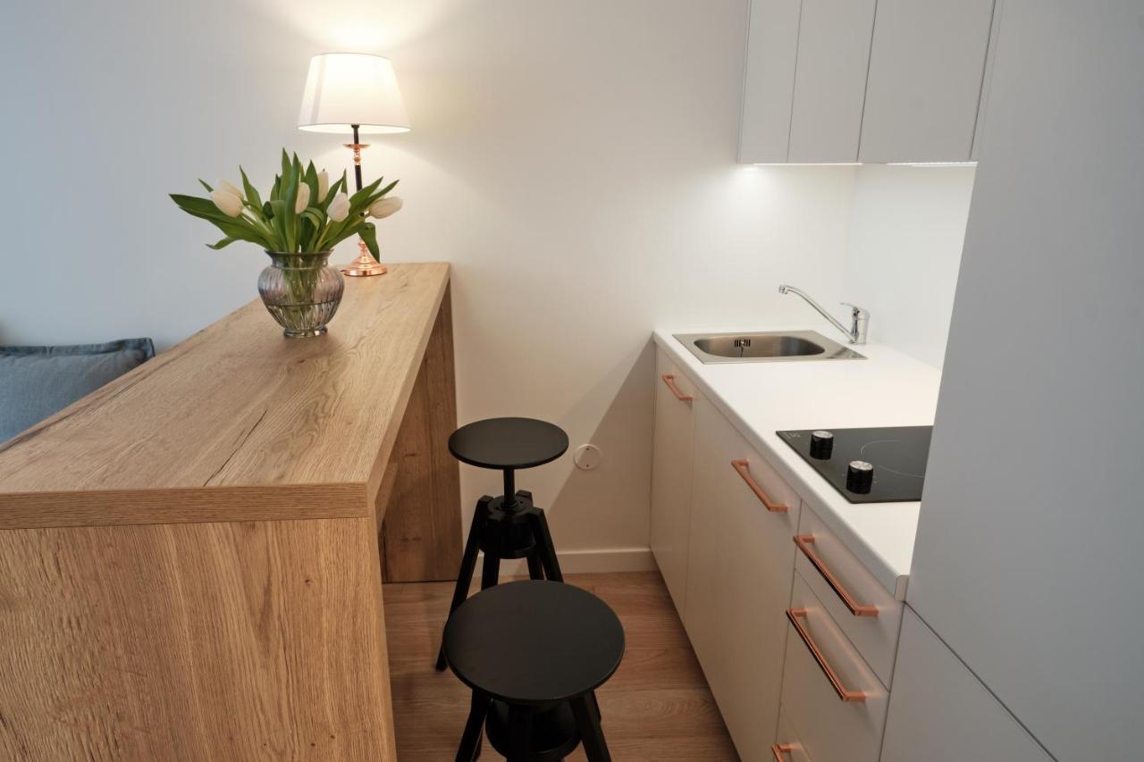 Cosy Studio Near Akropolis And Svyturio Arena ไคลเพดา ภายนอก รูปภาพ