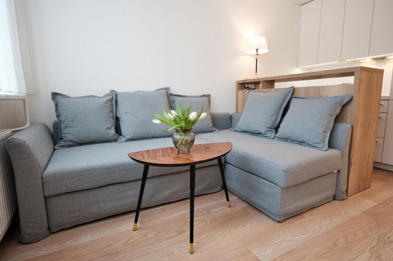 Cosy Studio Near Akropolis And Svyturio Arena ไคลเพดา ภายนอก รูปภาพ
