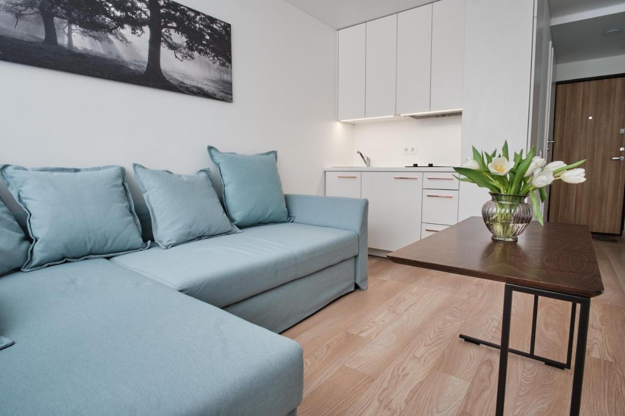 Cosy Studio Near Akropolis And Svyturio Arena ไคลเพดา ภายนอก รูปภาพ
